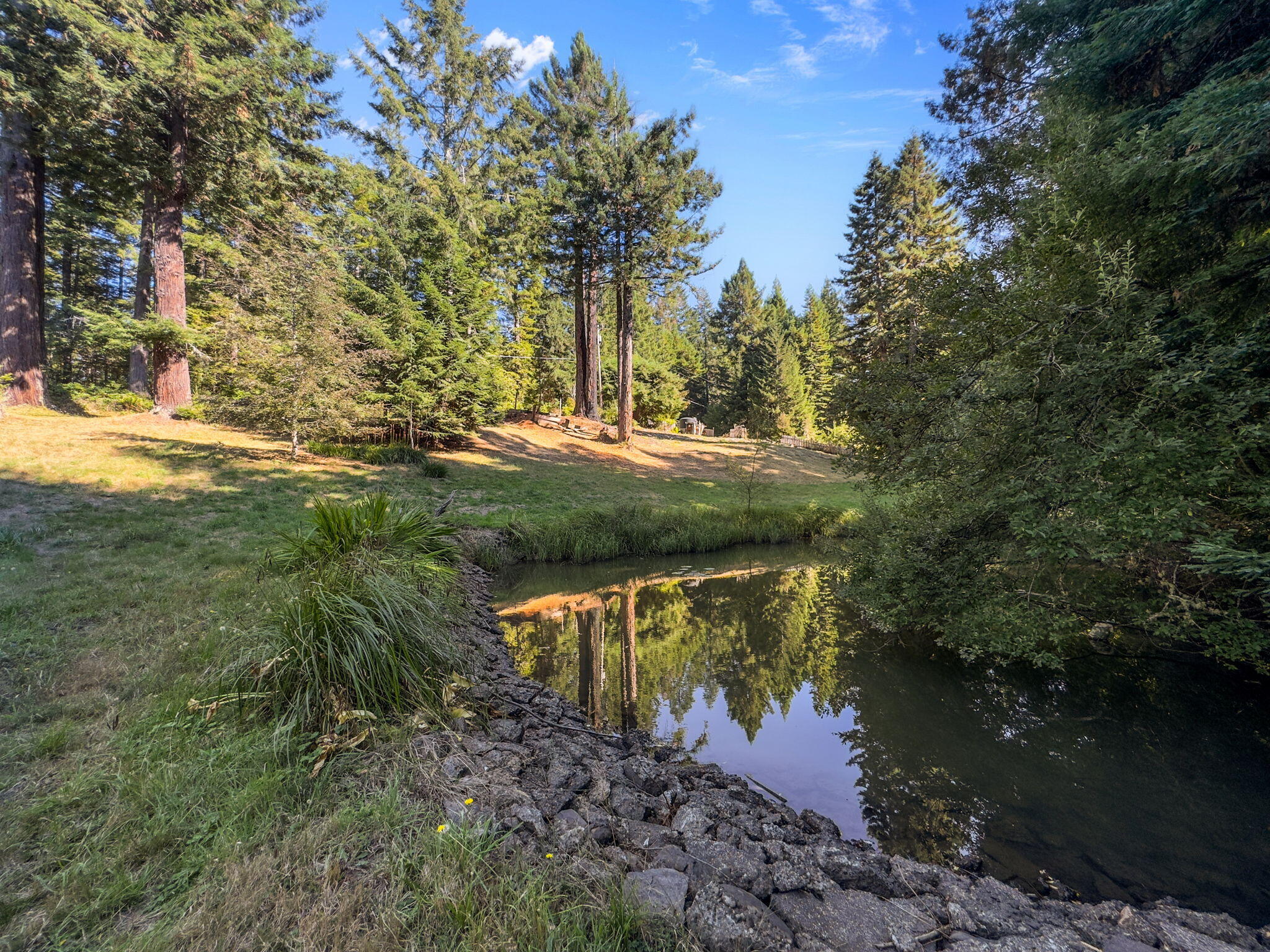 7097 Fickle Hill Road Arcata, CA 95521 - Photo 14 of 43