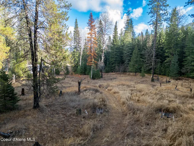 $85,000 | Nka Lower Quartz Creek Road, Priest River, ID 83856