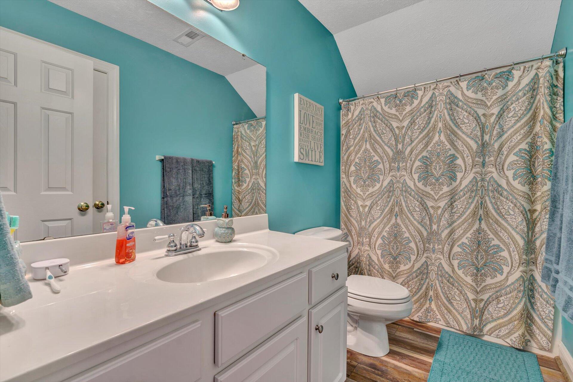 1217 Mountain View Road Vinton, VA 24179 - Photo 30 of 31 a bathroom with a sink toilet and shower