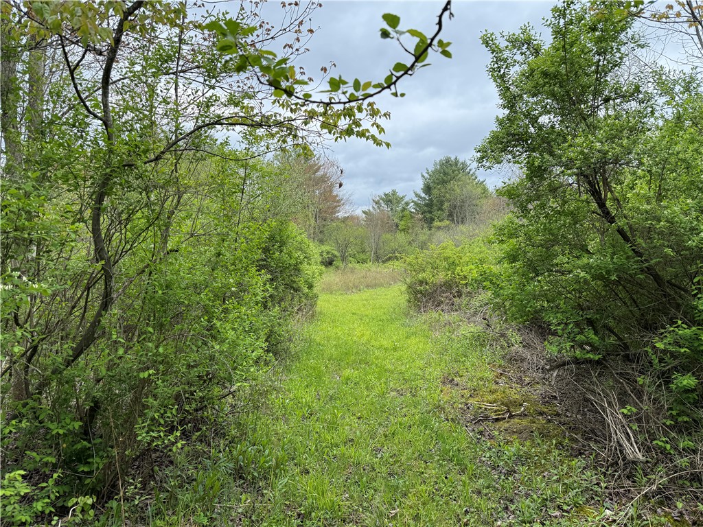 Caswell Road Freeville, NY 13068 - Photo 28 of 47
