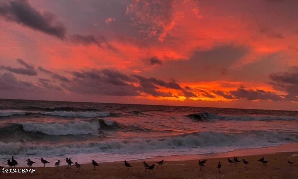 32 Seabridge Drive Ormond Beach, FL 32176 - Photo 46 of 51 sunrising in Seabridge