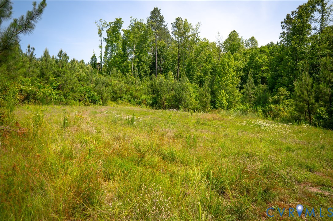 0 Chellowe Road Dillwyn, VA 23936 - Photo 37 of 52 a view of ocean view