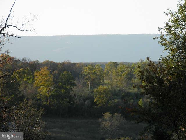 4 Middle Road Winchester, VA 22602 - Photo 2 of 8 View out Rear of Home site
