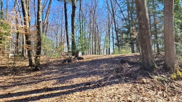 $21,000 | 947 West Locust Street, White Cloud, MI 49349