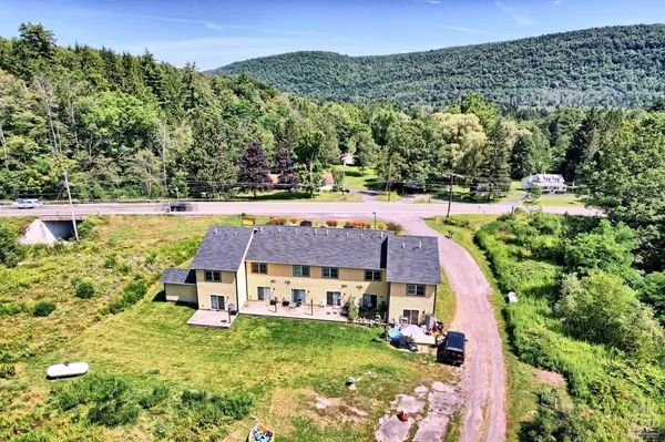 a aerial view of a house with a yard and potted plants
