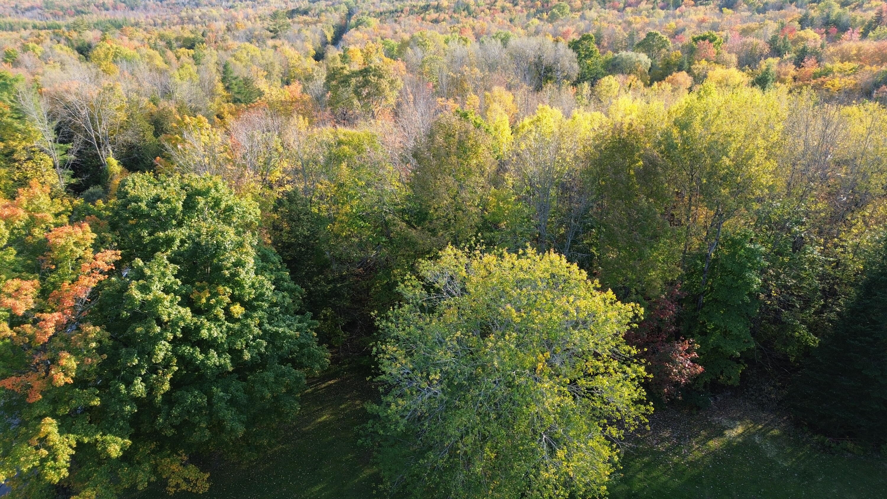 774 Thurston Hill Road Madison, ME 04950 - Photo 14 of 42 DJI_0347