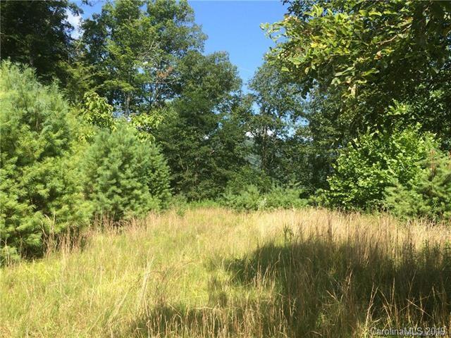 Tbd Pound Mill Br Road Green Mountain, NC 28740 - Photo 2 of 5