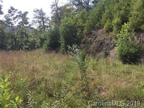 Tbd Pound Mill Br Road Green Mountain, NC 28740 - Photo 3 of 5