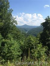 Tbd Pound Mill Br Road Green Mountain, NC 28740 - Photo 4 of 5