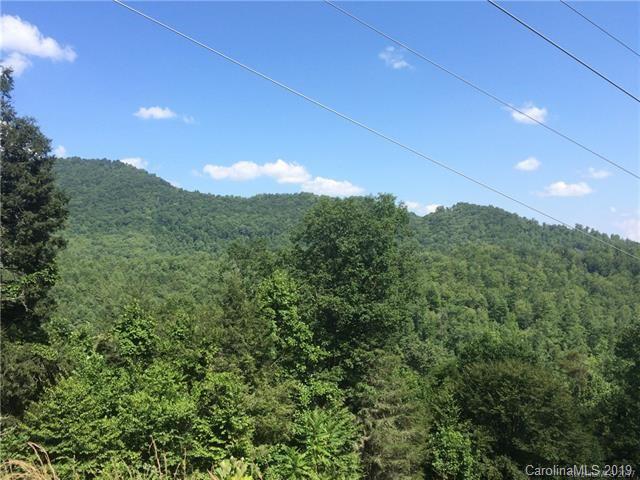 Tbd Pound Mill Br Road Green Mountain, NC 28740 - Photo 5 of 5