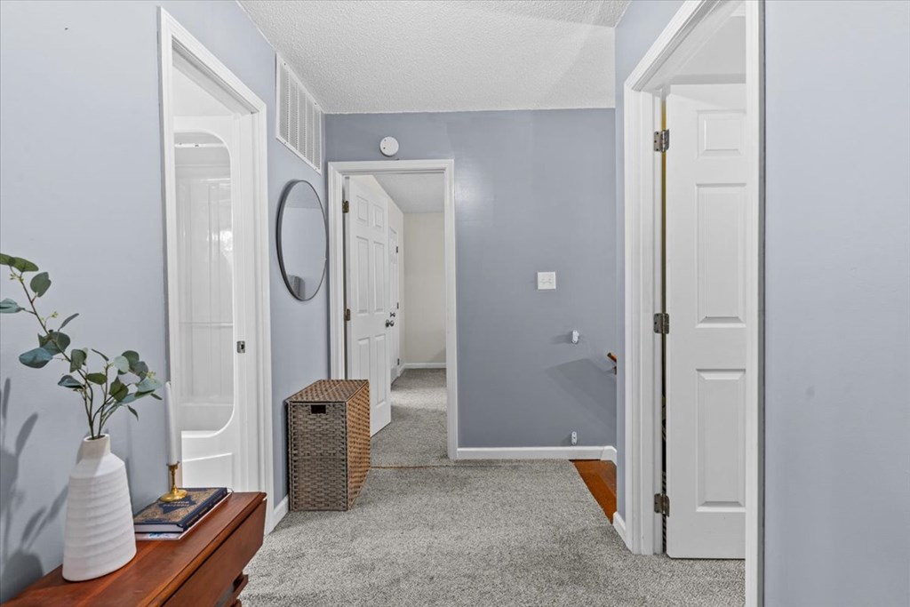 317 Holmes Road Newton, AL 36352 - Photo 13 of 55 Gallery Image 13