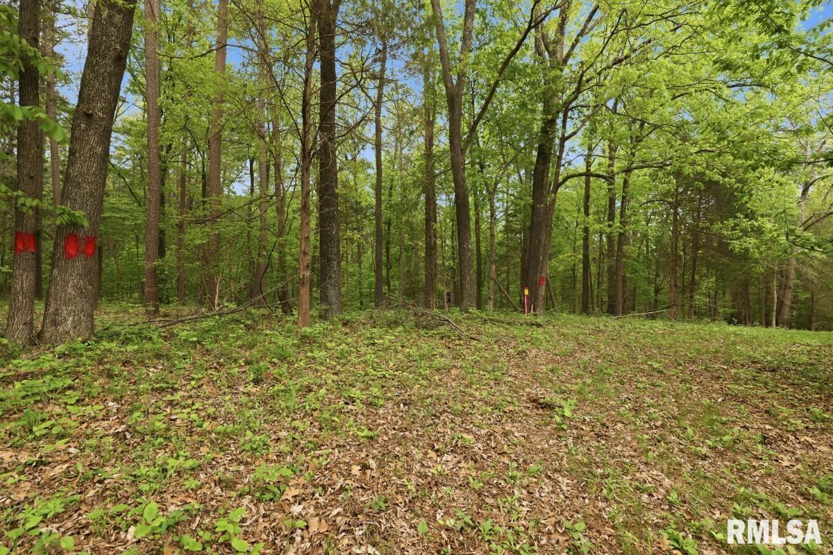 2190 Deneal Road Harrisburg, IL 62946 - Photo 73 of 96