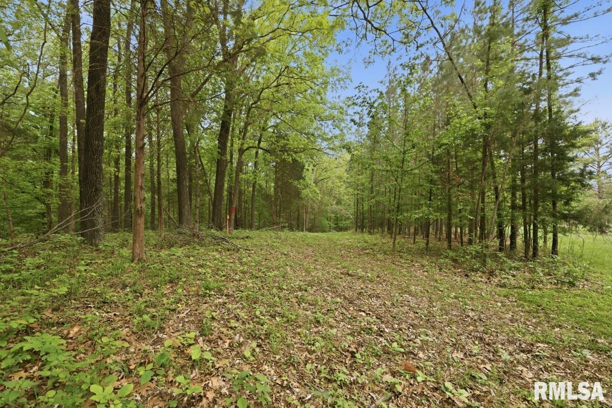 2190 Deneal Road Harrisburg, IL 62946 - Photo 74 of 96