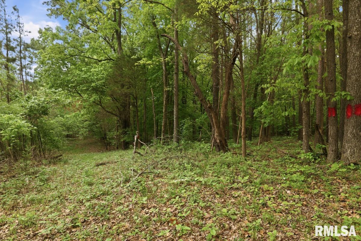 2190 Deneal Road Harrisburg, IL 62946 - Photo 76 of 96