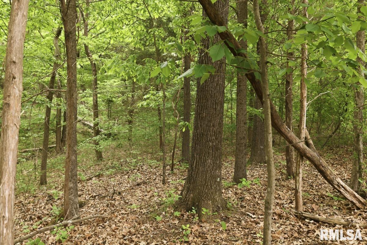 2190 Deneal Road Harrisburg, IL 62946 - Photo 78 of 96
