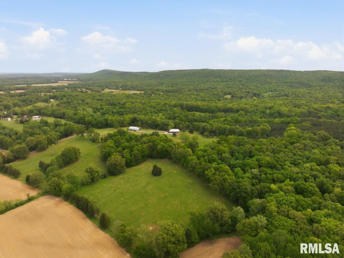 2190 Deneal Road Harrisburg, IL 62946 - Photo 89 of 96