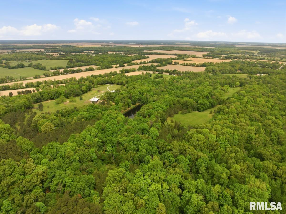 2190 Deneal Road Harrisburg, IL 62946 - Photo 93 of 96