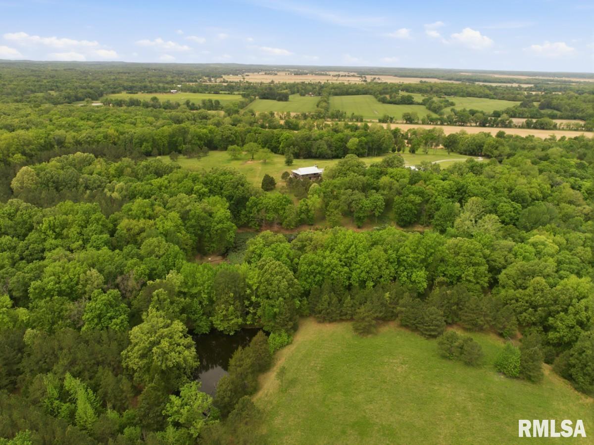 2190 Deneal Road Harrisburg, IL 62946 - Photo 94 of 96