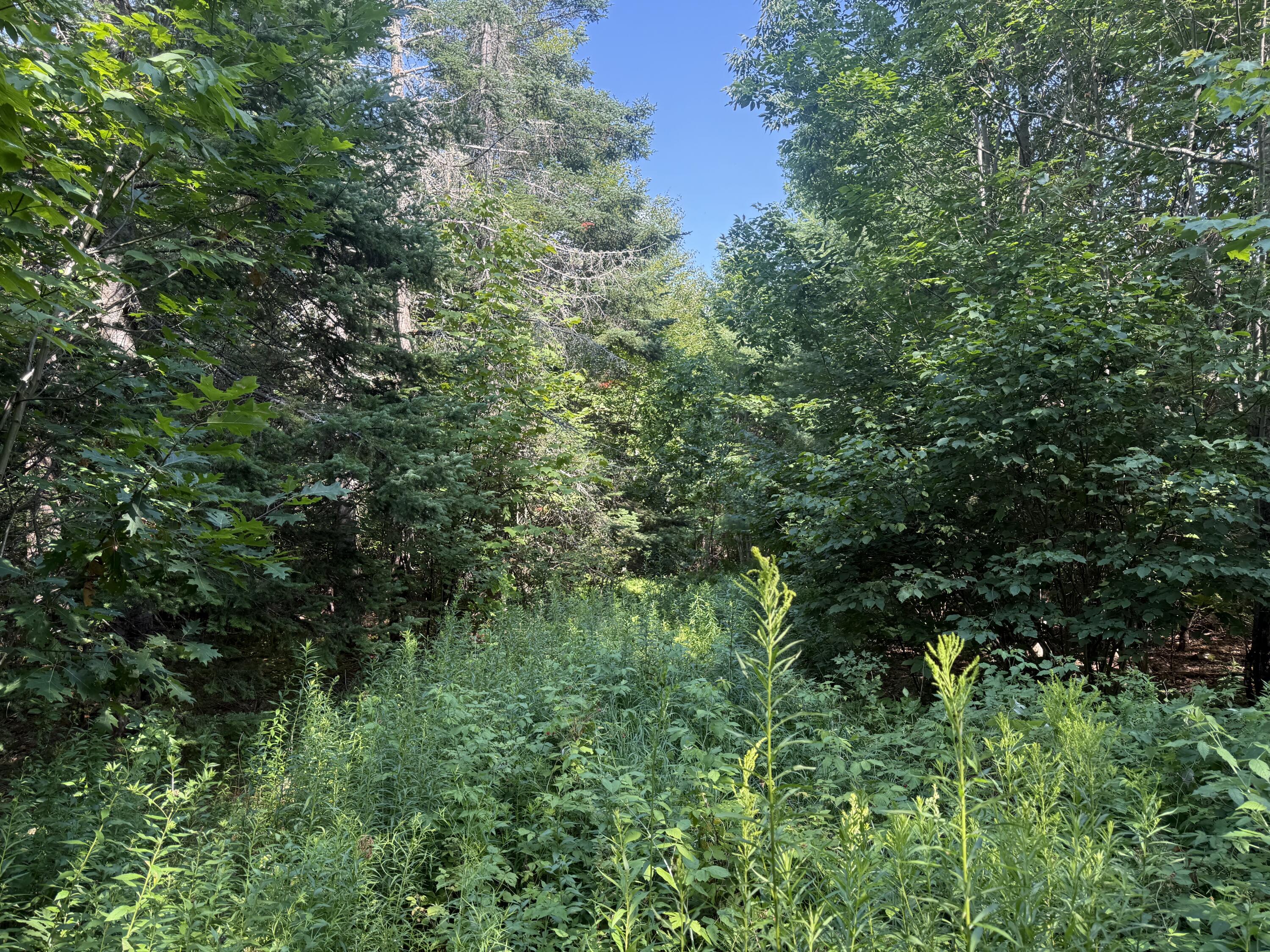 5 Black Road South Searsport, ME 04974 - Photo 11 of 13 IMG_5027