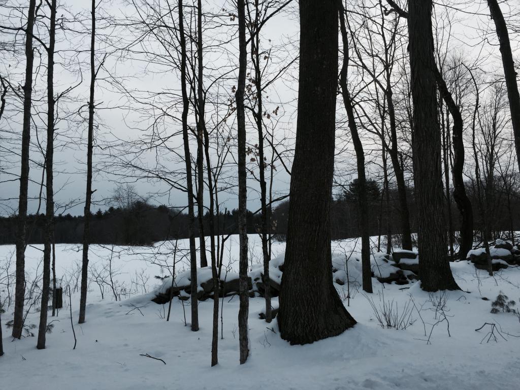 53 Nute Road Madbury, NH 03823 - Photo 4 of 5 Gallery Image 4