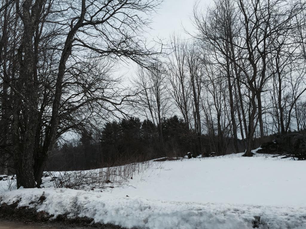 53 Nute Road Madbury, NH 03823 - Photo 5 of 5 Gallery Image 5