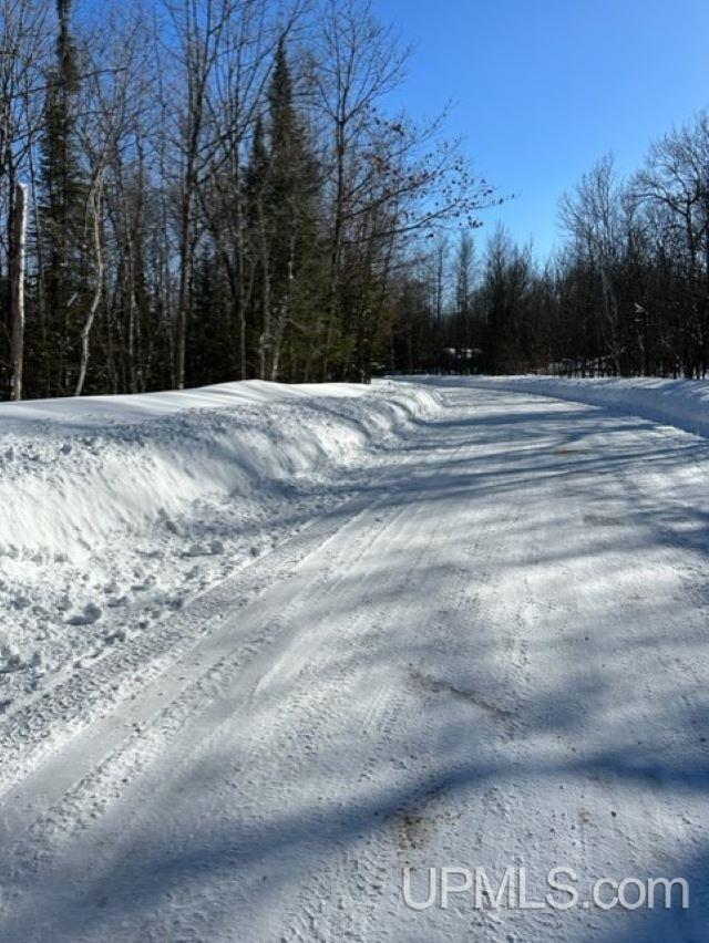 Tbd Lot#37 Tbd Road Bessemer, MI 49911 - Photo 2 of 6