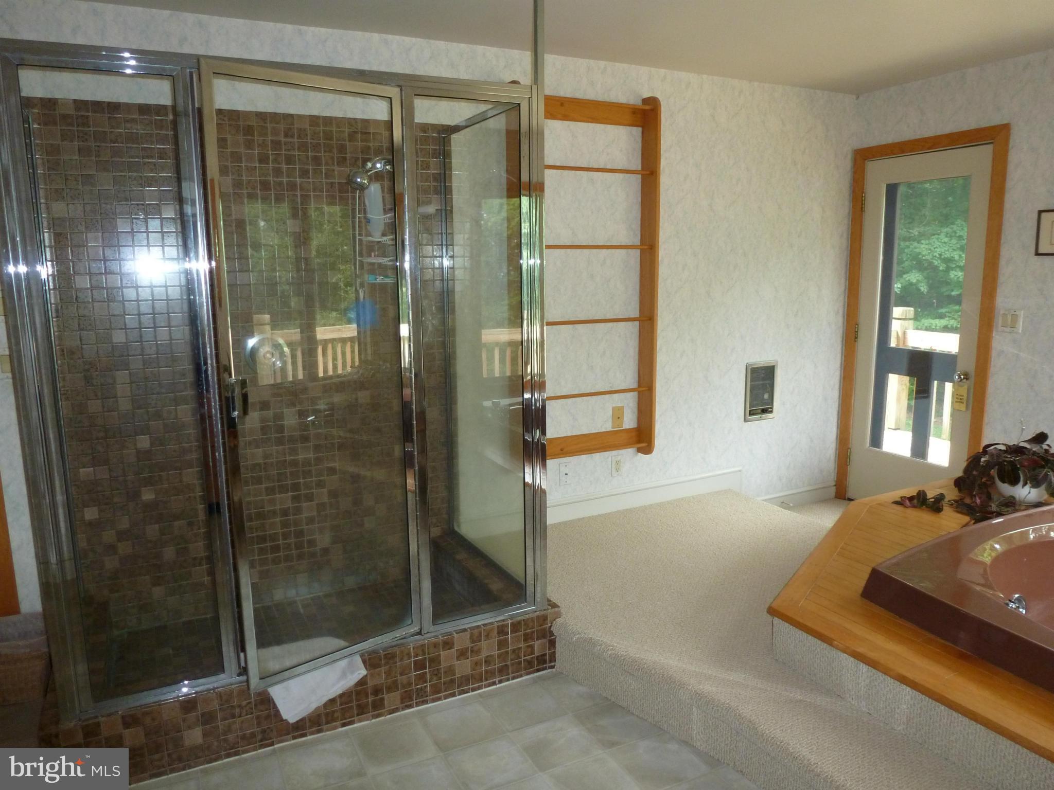 21149 Park Hall Road Boonsboro, MD 21713 - Photo 14 of 30 Separate ceramic/glass surround shower