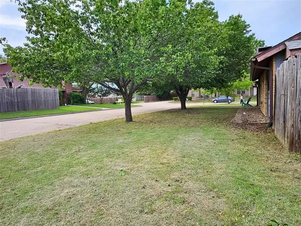 a view of a yard with a tree