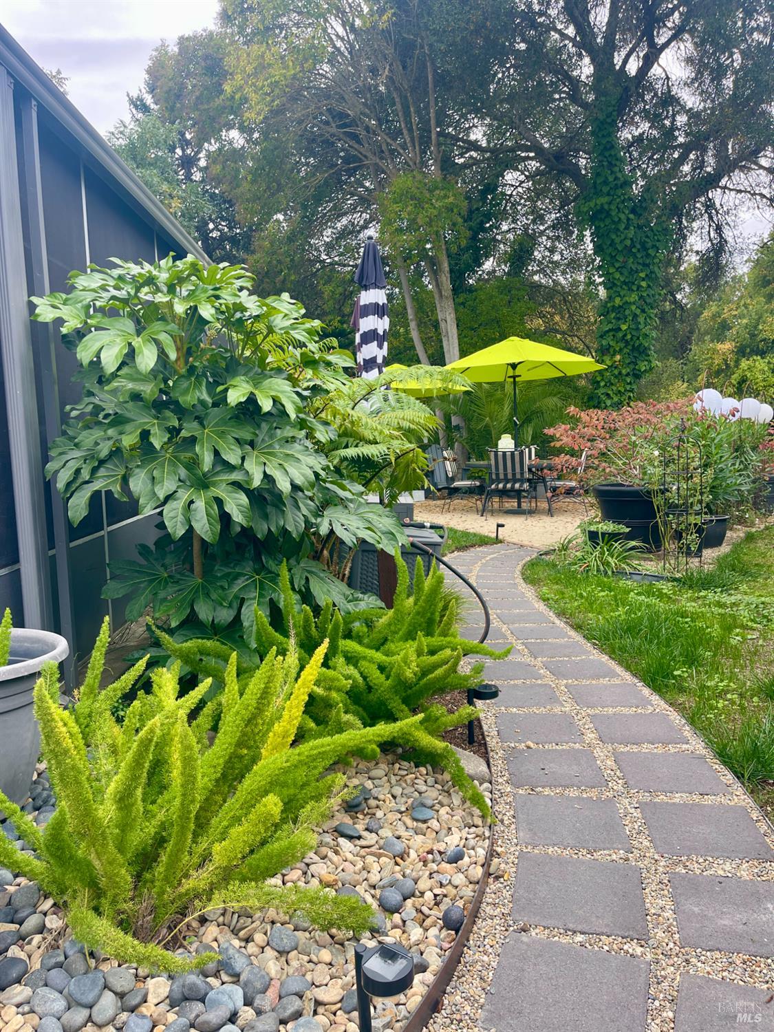 a view of a backyard with plants