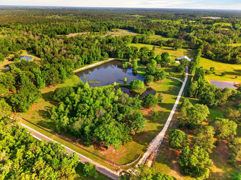 314 Matthews Road Carriere, MS 39426 - Photo 43 of 69 Gallery Image 43