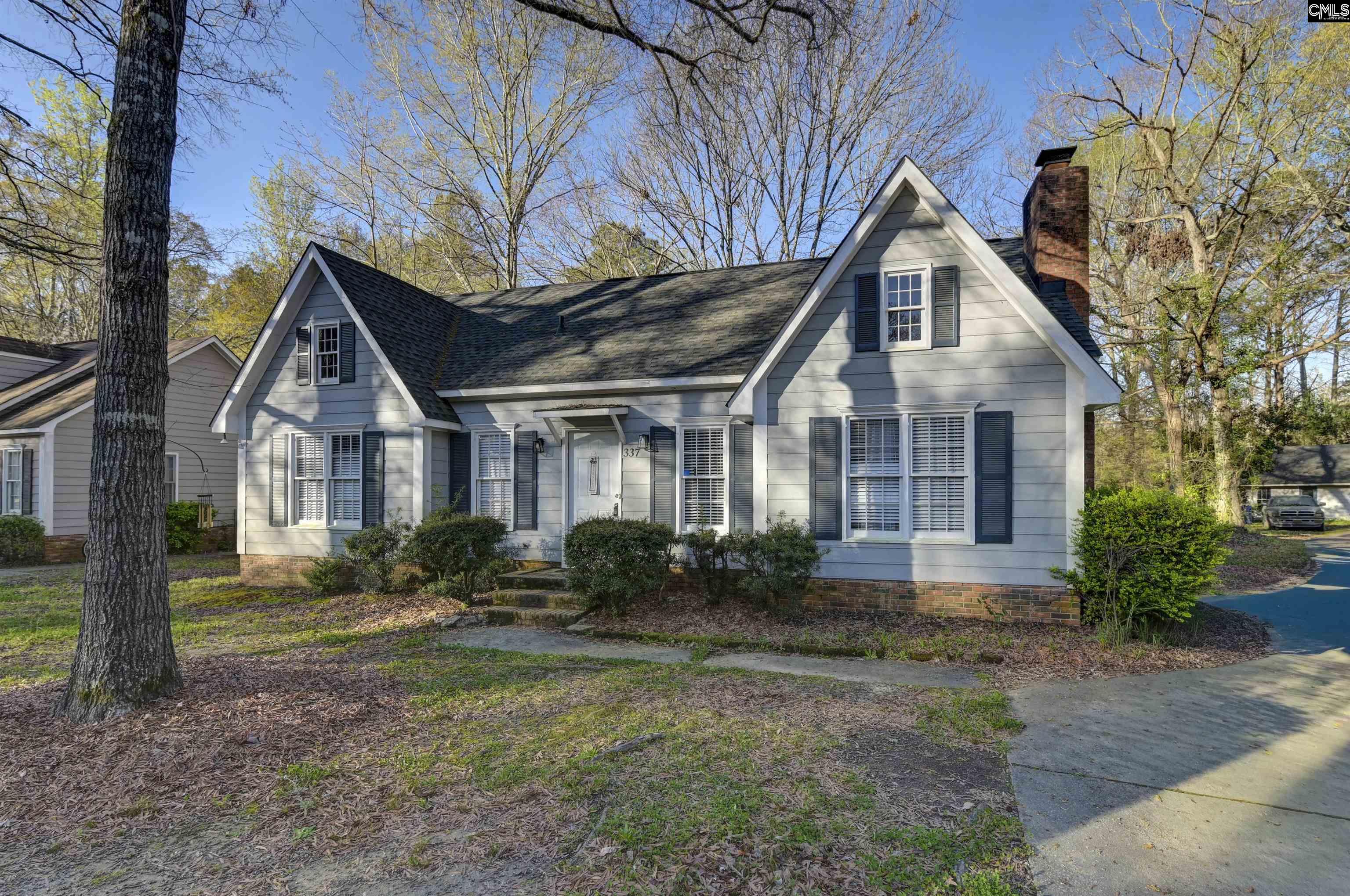 337 Chapelwhite Road Irmo, SC 29063 - Photo 3 of 29