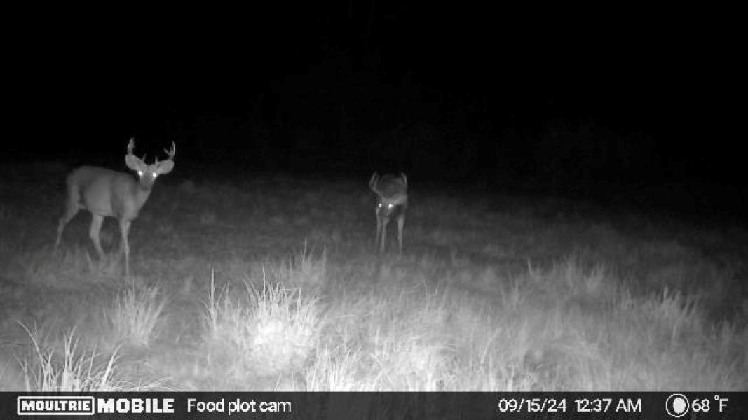 0 Cth H Gleason, WI 54435 - Photo 25 of 27 Gallery Image 25