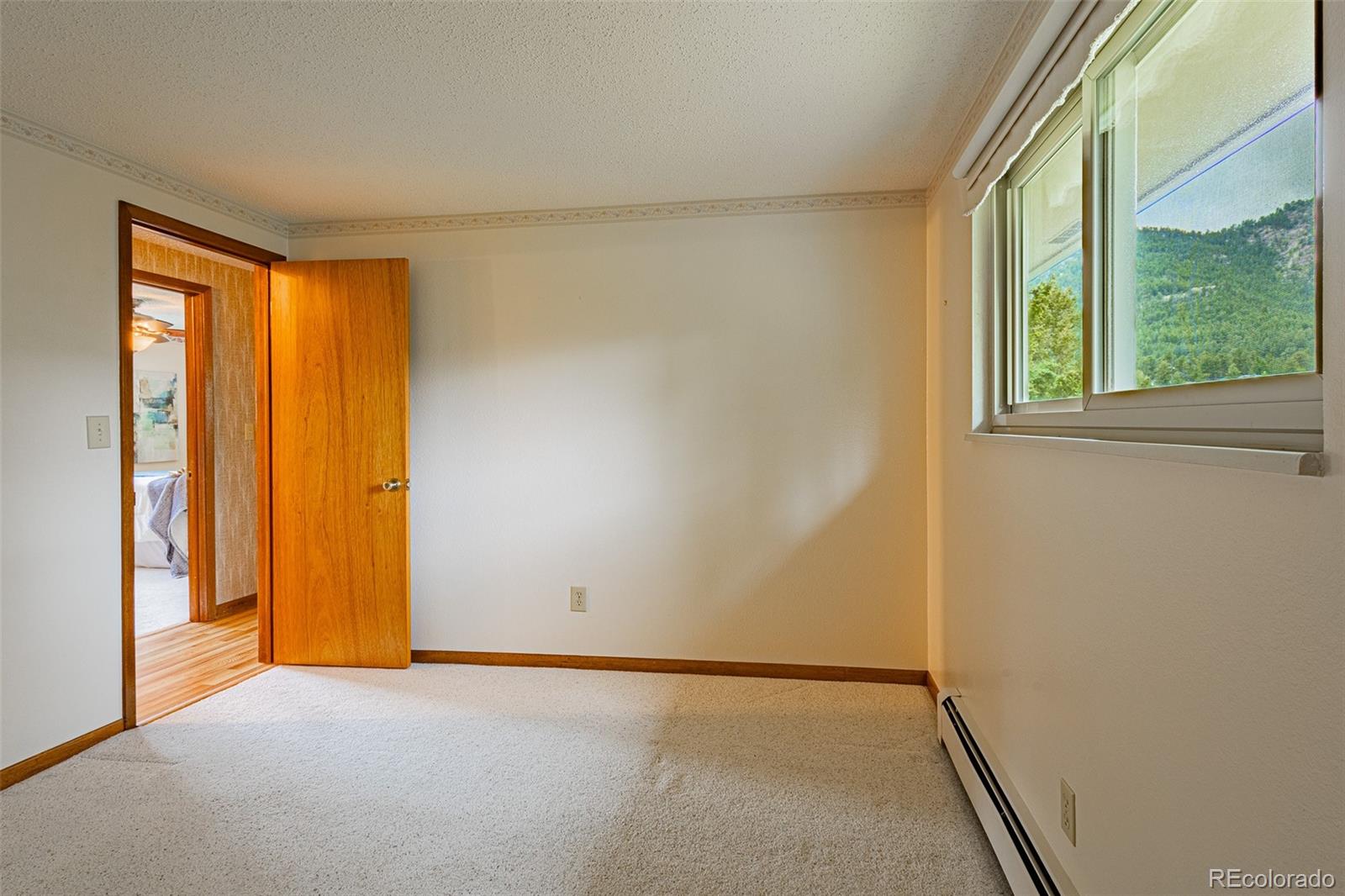 98 Button Rock Road Lyons, CO 80540 - Photo 16 of 40 an empty room with windows