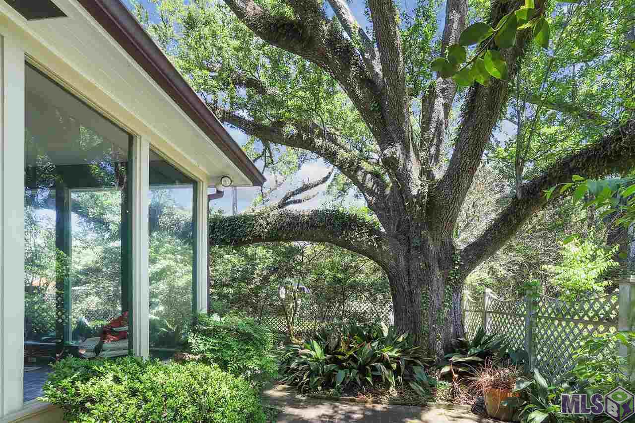 505 LSU Avenue Baton Rouge, LA 70808 - Photo 7 of 19