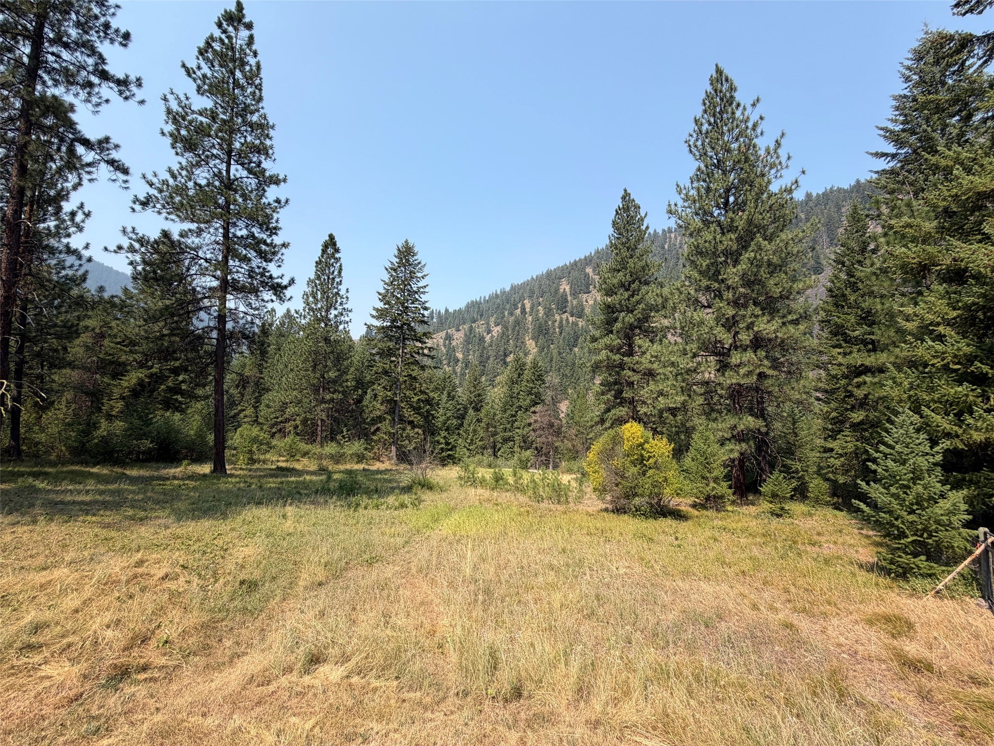 37 Big Horn Road Superior, MT 59872 - Photo 4 of 56 Gallery Image 4