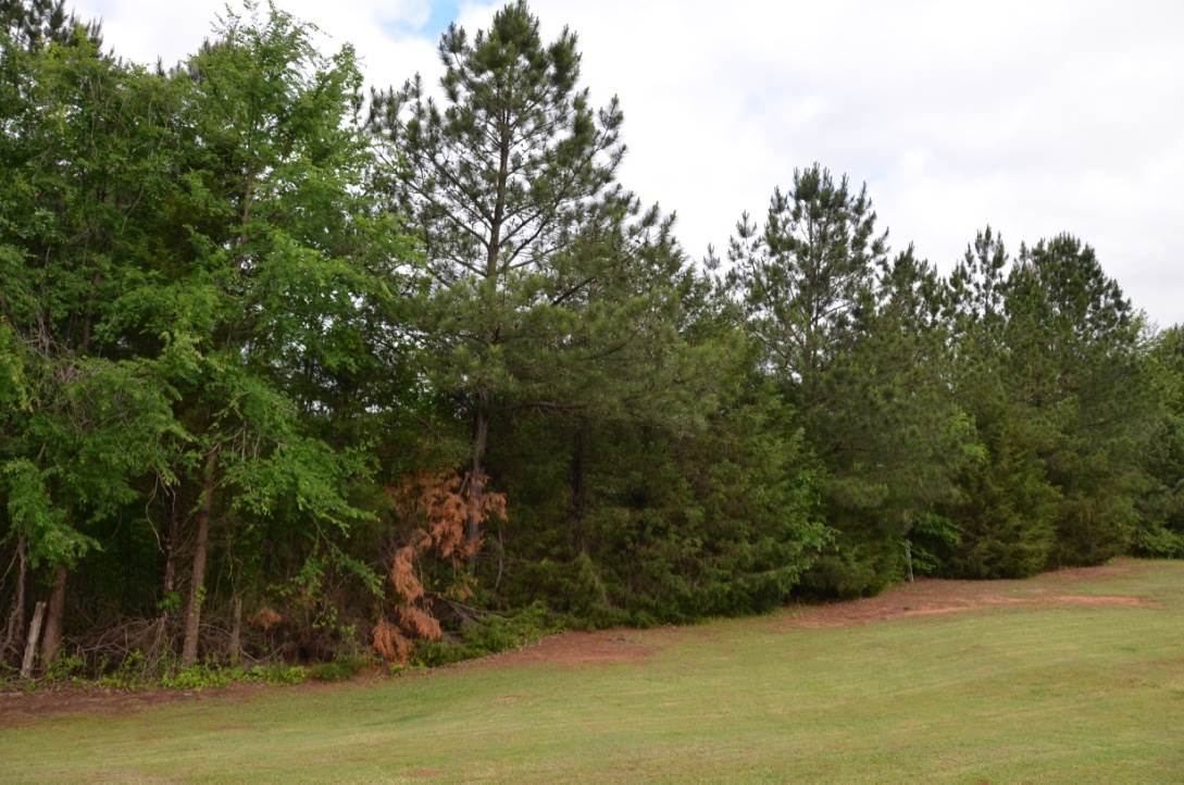 561 State Rd S-44-362 Union, SC 29379 - Photo 1 of 3