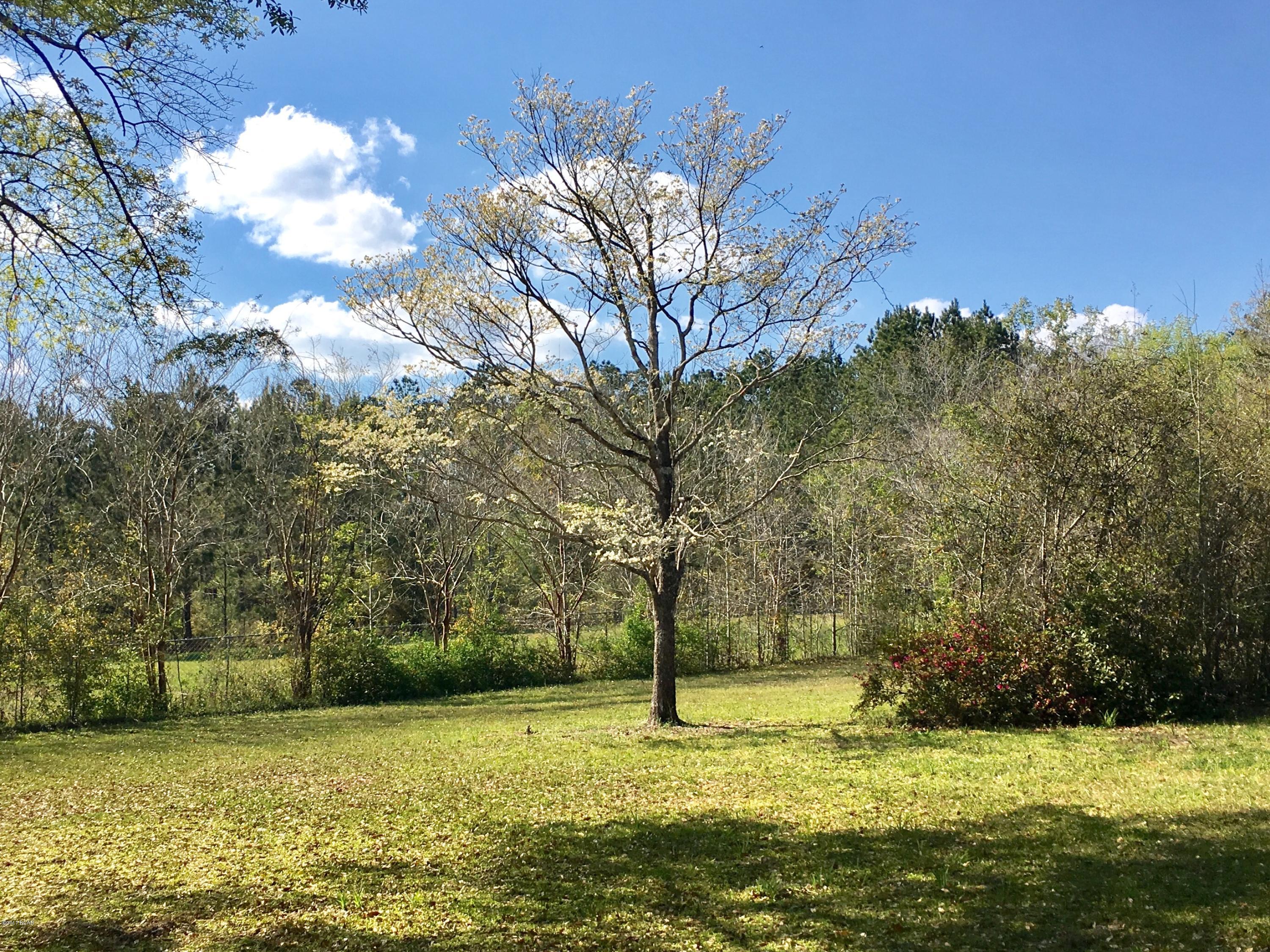 977 Pioneer Road Chipley, FL 32428 - Photo 15 of 73