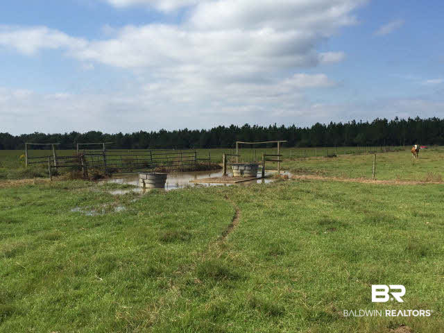 28661 Three Mile Road Elberta, AL 36530 - Photo 10 of 30