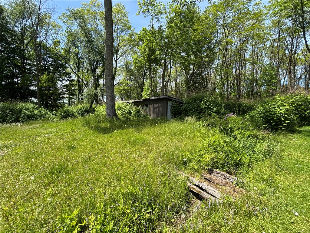 2901 Cambier Road Newark, NY 14513 - Photo 34 of 41