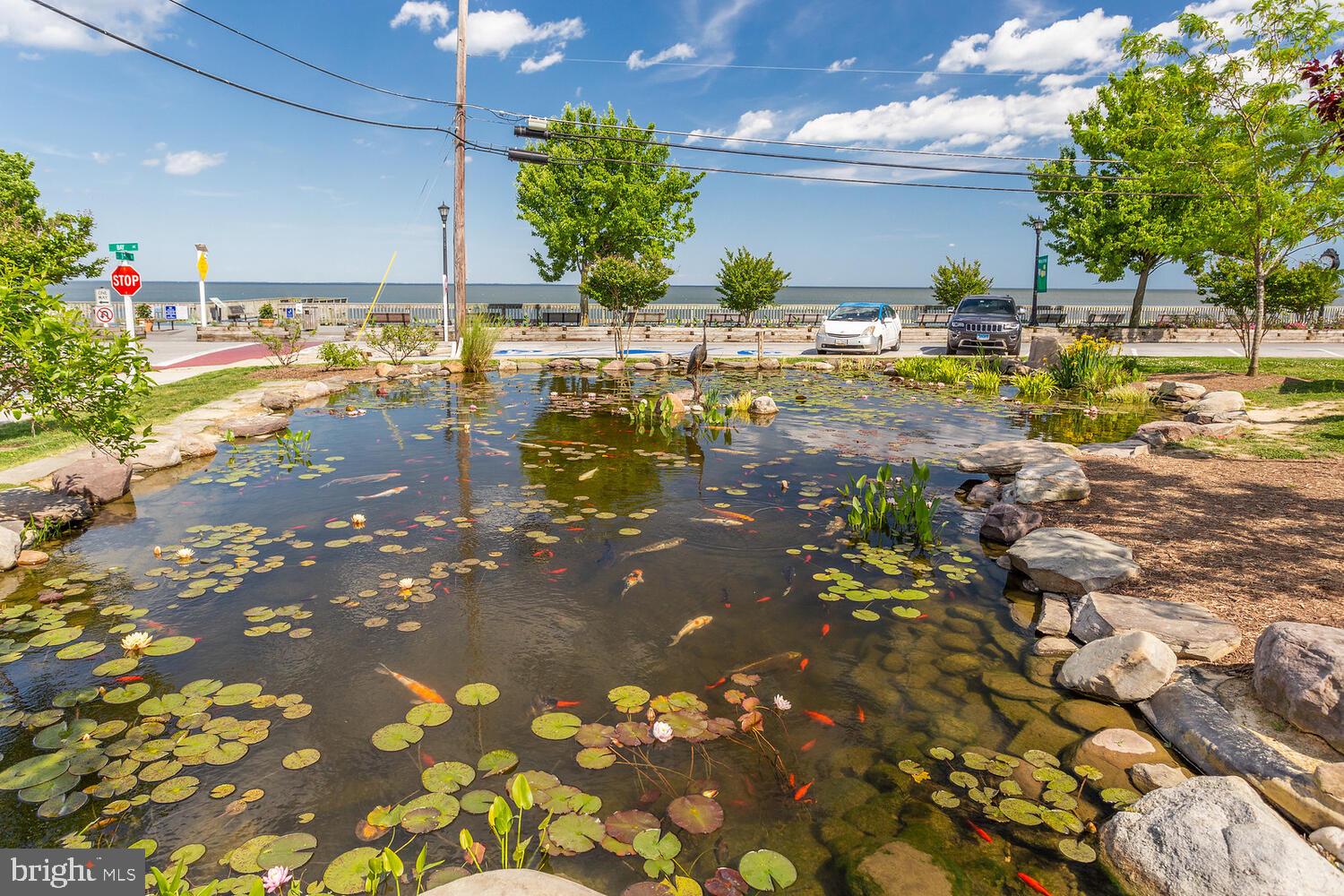 2303 Forest Ridge Terrace, Unit E Chesapeake Beach, MD 20732 - Photo 61 of 73 Sunrise Garden Park in North Beach