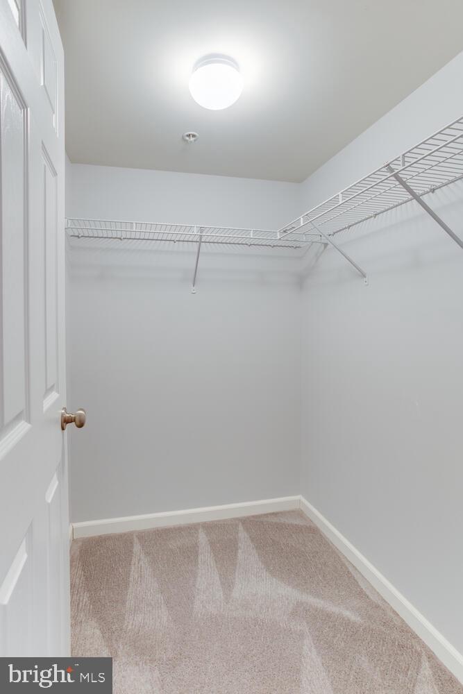 2303 Forest Ridge Terrace, Unit E Chesapeake Beach, MD 20732 - Photo 9 of 73 Walk in closet for main level bedroom
