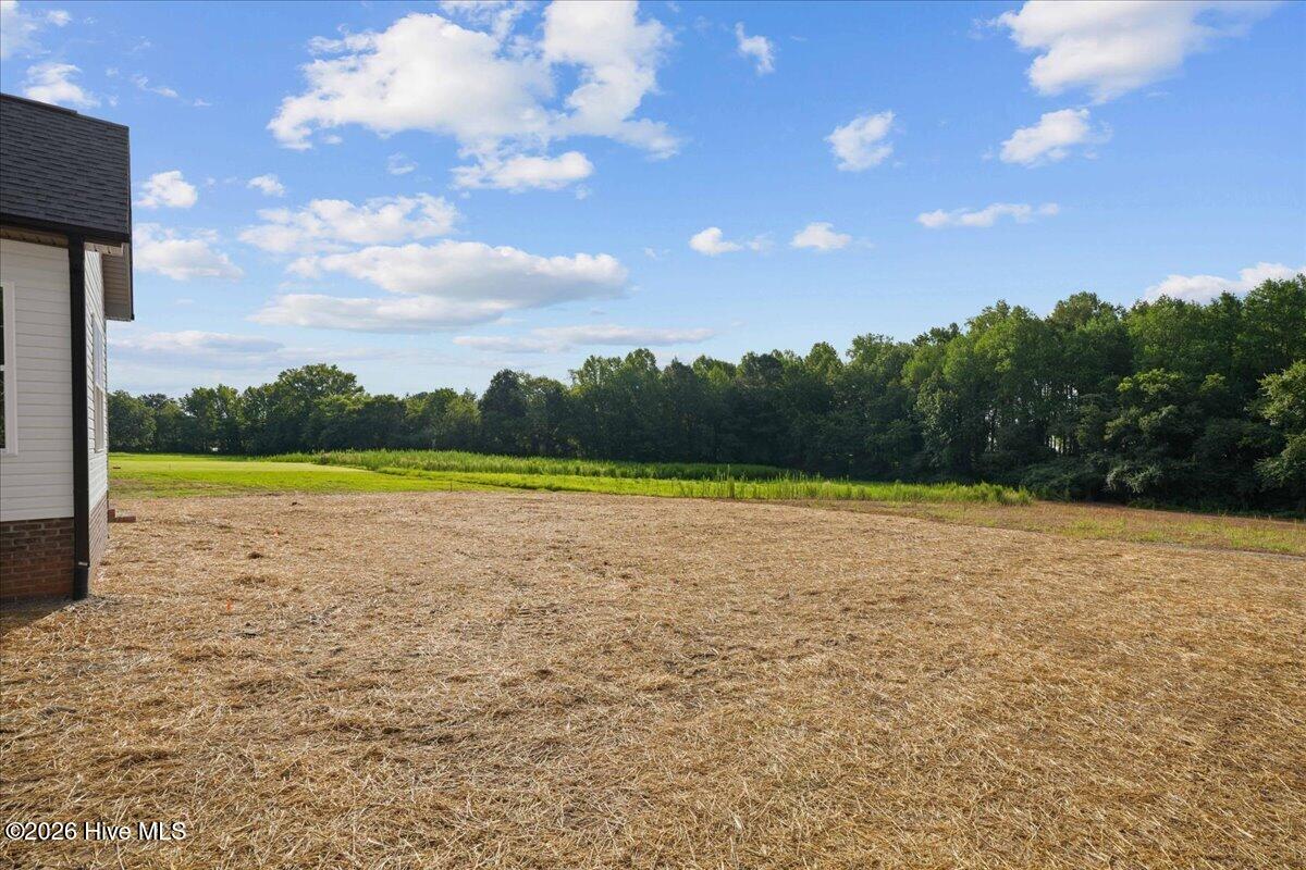 7401 Hill Road Spring Hope, NC 27882 - Photo 42 of 48 Gallery Image 42
