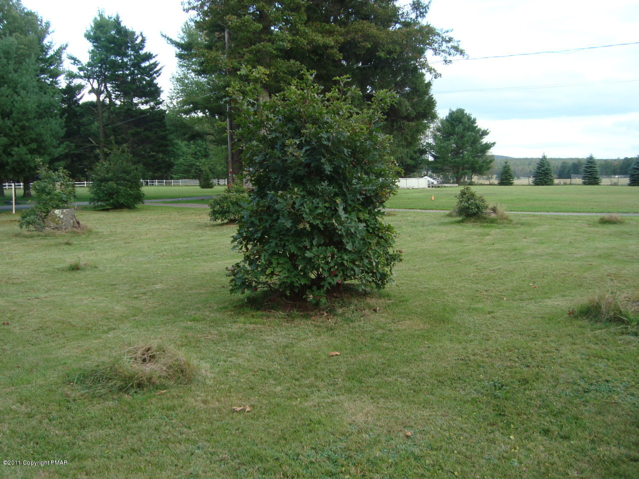 206 Cartwright Road Blakeslee, PA 18610 - Photo 14 of 23 Side yard