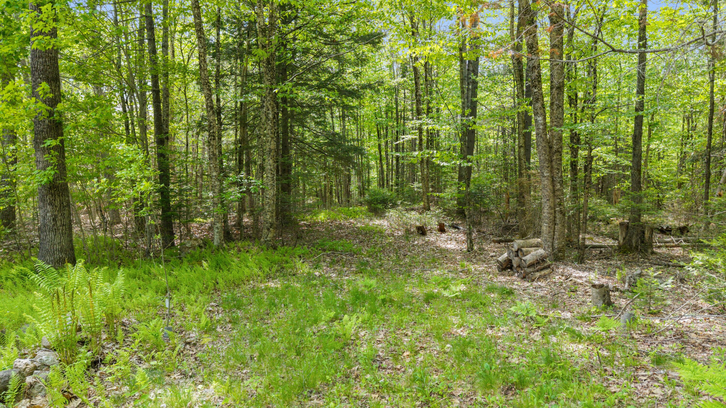 222 Brunswick Road Richmond, ME 04357 - Photo 5 of 46 DJI_20260527145422_0055_D