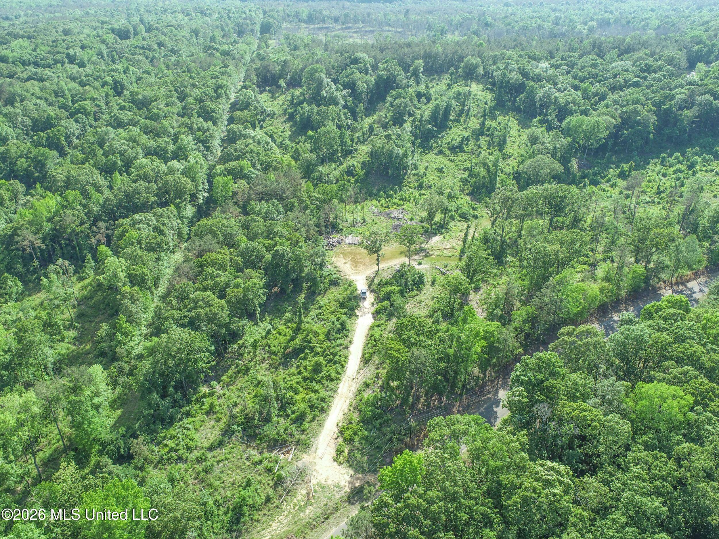 Wayne Massie Road Como, MS 38619 - Photo 44 of 184 3ctwmrd29