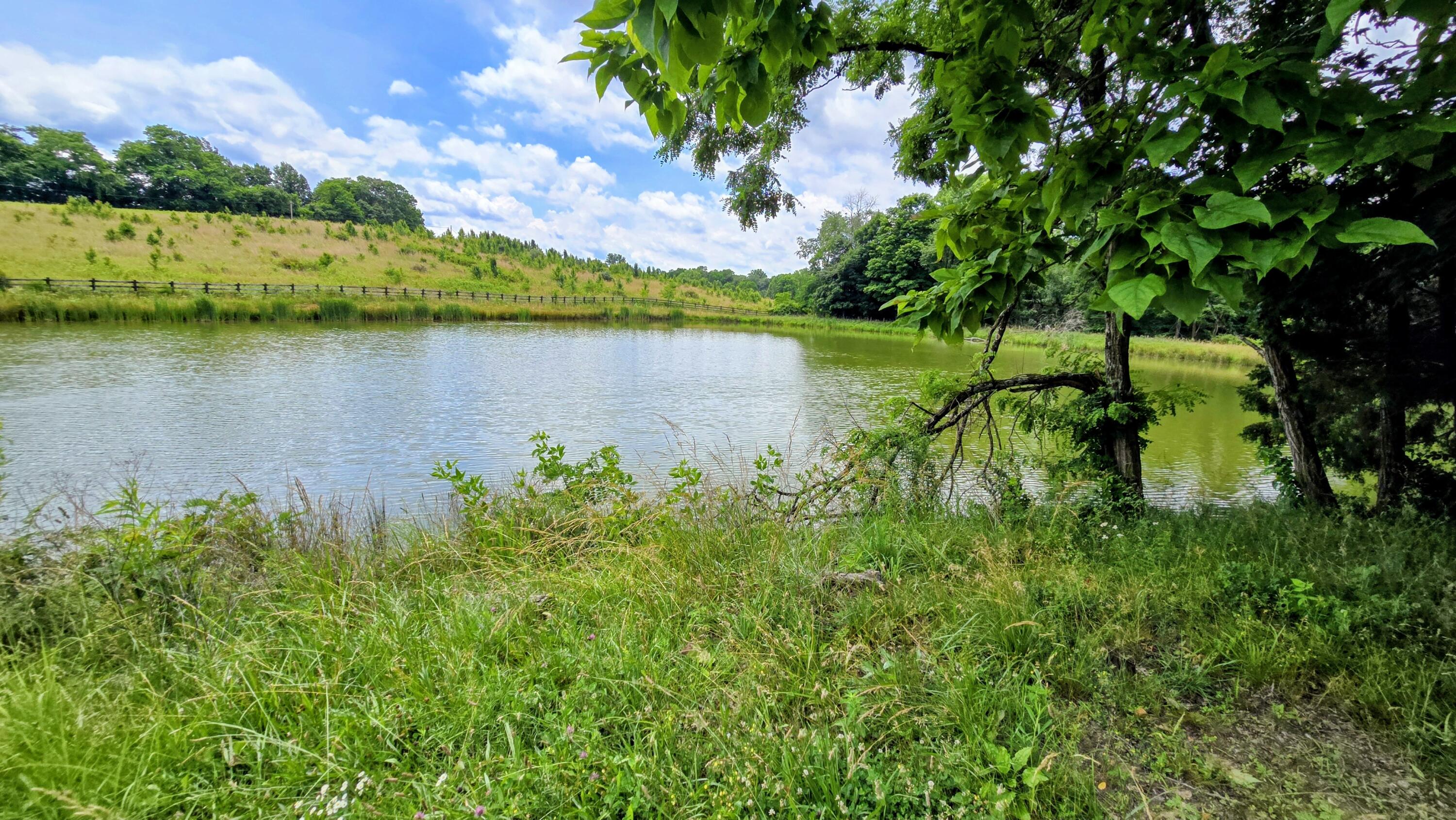 9477 Beechgrove Road Burlington, KY 41005 - Photo 47 of 47 2a (2)