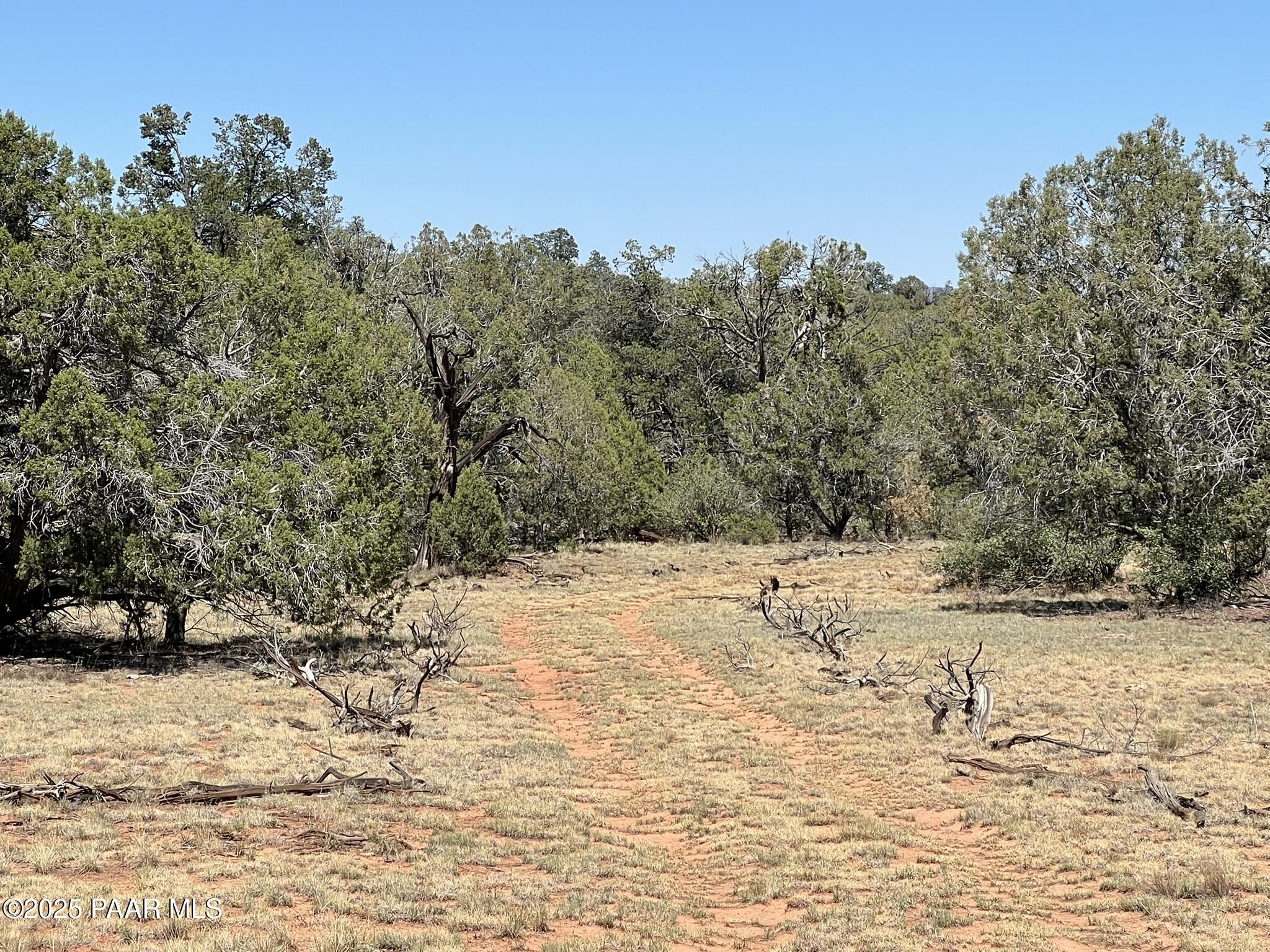 224 E2 Rocky Road Ash Fork, AZ 86320 - Photo 5 of 9 a view of a yard covered in snow