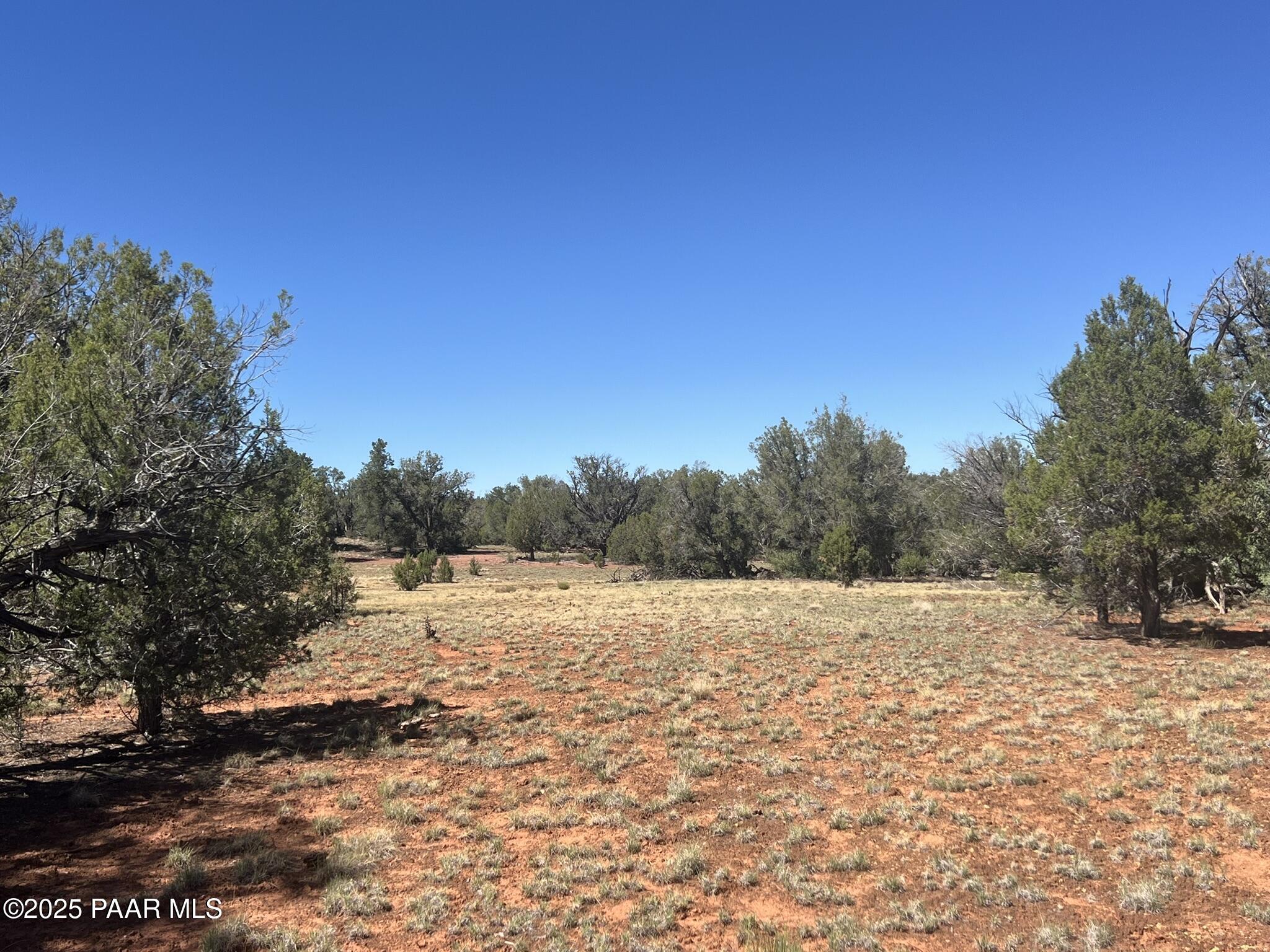 224 E2 Rocky Road Ash Fork, AZ 86320 - Photo 7 of 9 a view of mountain view with trees