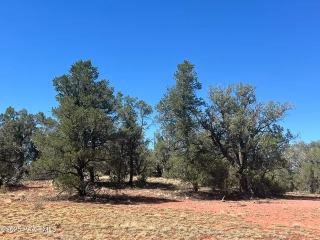 a view of outdoor space with yard