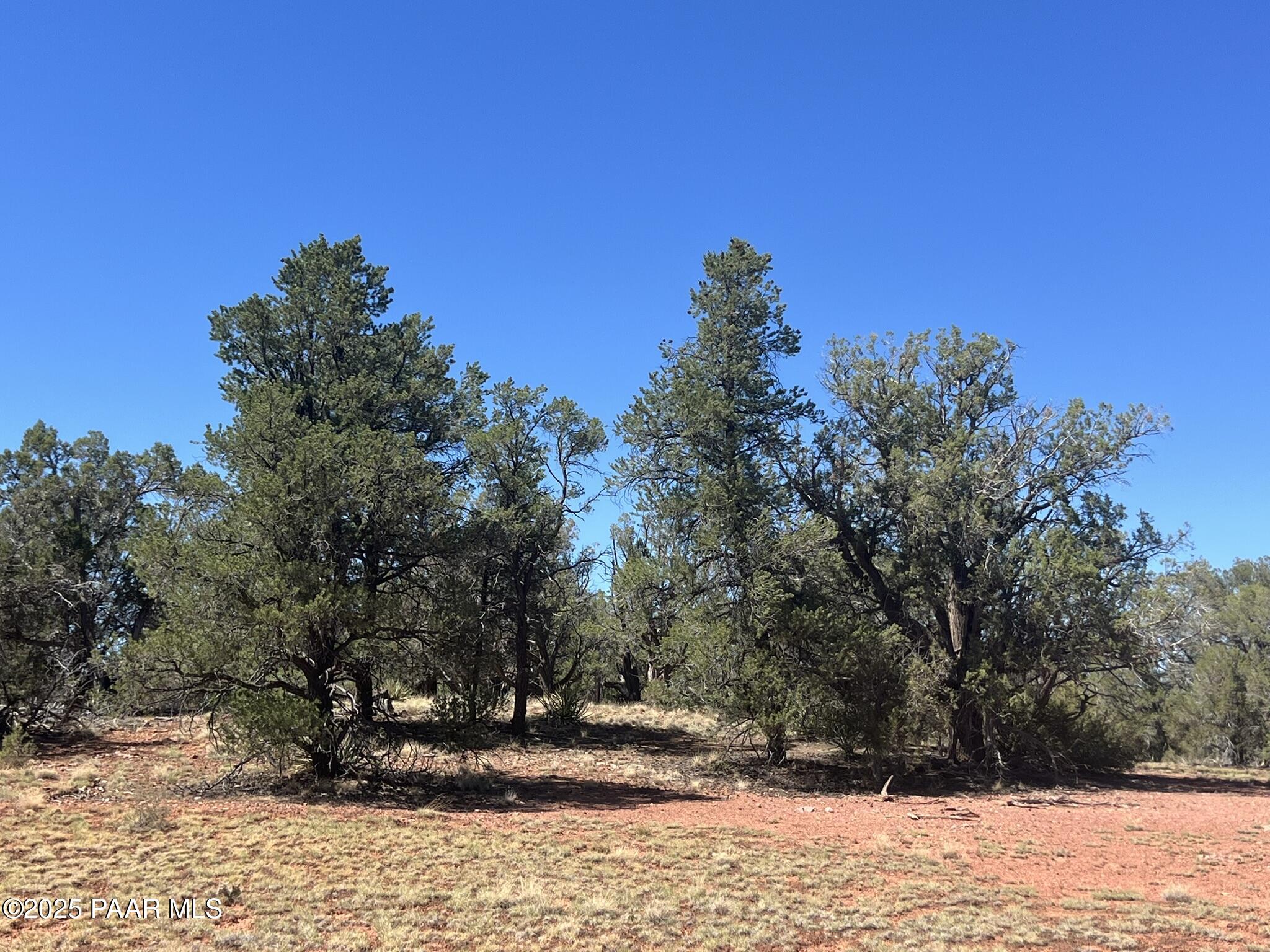 224 E2 Rocky Road Ash Fork, AZ 86320 - Photo 8 of 9 a view of outdoor space with yard